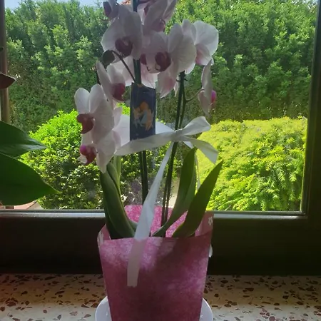 Apartmanhotel Bajland