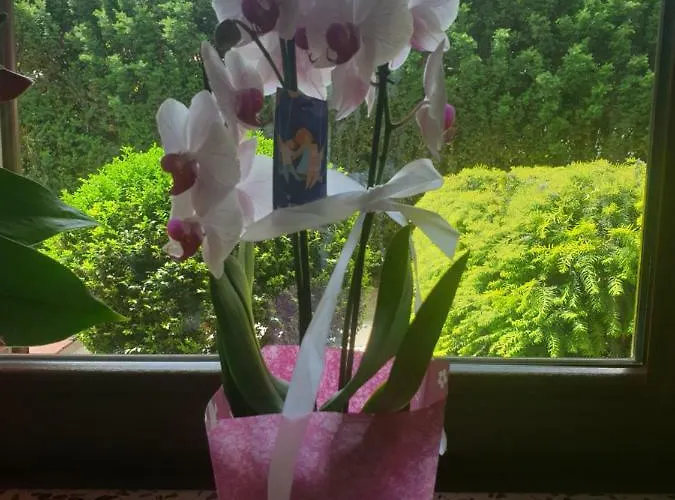 Hotel apartamentowy Bajland